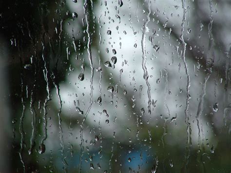 free images of rain|copyright free rain images.